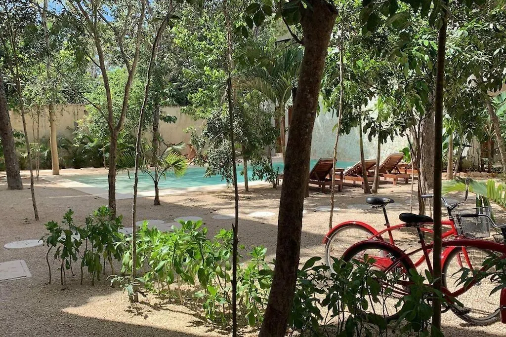 툴룸 Chic-Modern Apt W/Pool, Garden, Parking & 3 Bikes 아파트