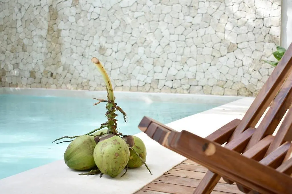 トゥルムChic-Modern Apt W/Pool, Garden, Parking & 3 Bikesアパートメント 0*, トゥルム メキシコ